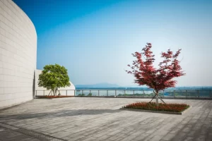 Realistic Outdoor Visualizations