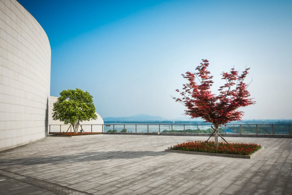 Realistic Outdoor Visualizations